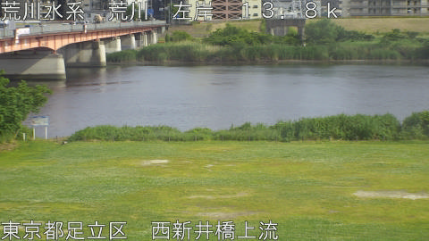 arani2026052516_image