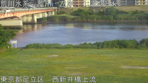 arani2026052518_image