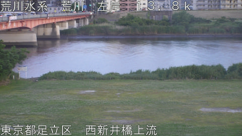 arani2026052519_image