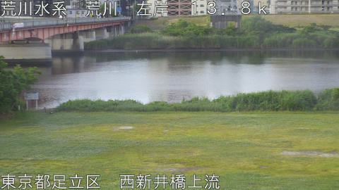 arani2026052606_image