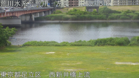 arani2026052609_image