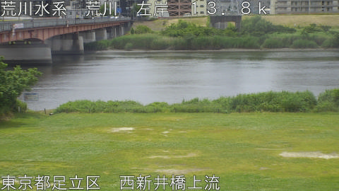arani2026052611_image