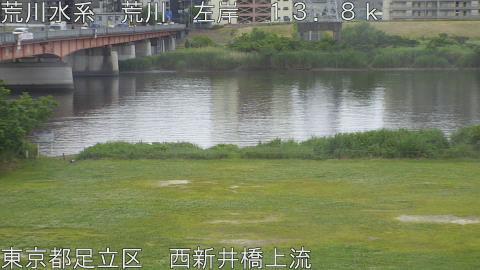 arani2026052612_image