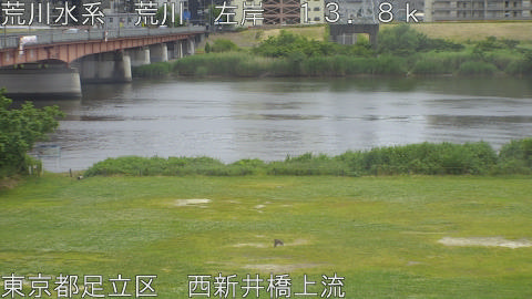arani2026052613_image