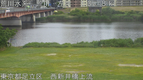 arani2026052615_image
