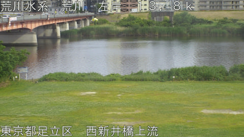 arani2026052616_image