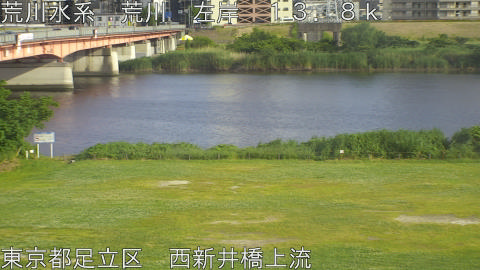 arani2026052617_image