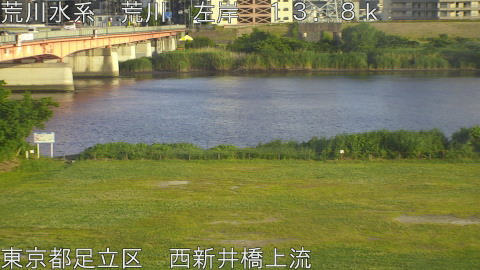 arani2026052618_image