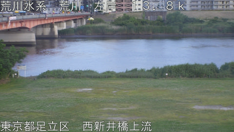 arani2026052619_image
