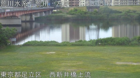 arani2026052906_image