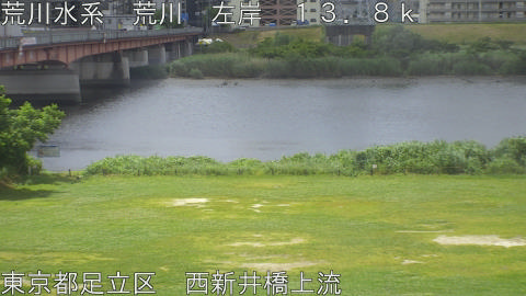 arani2026052910_image