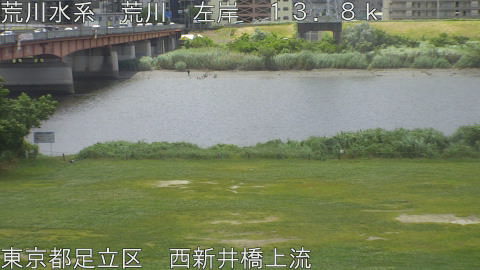arani2026052911_image