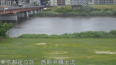 arani2026052913_image