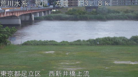 arani2026052914_image