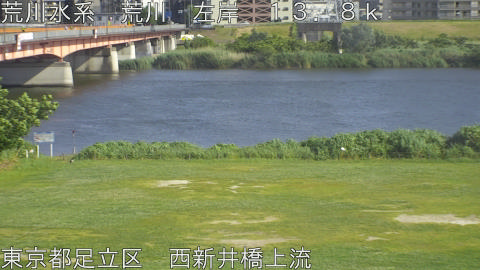 arani2026052916_image