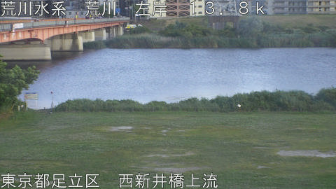 arani2026052918_image