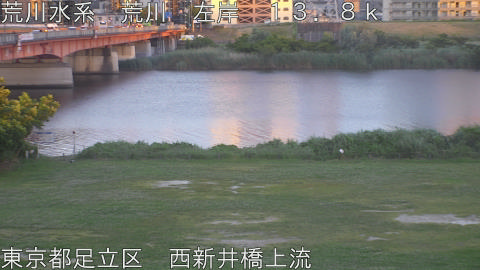 arani2026052919_image