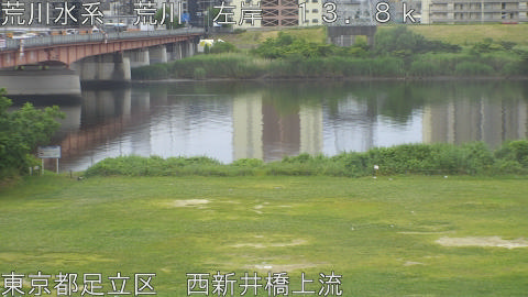 arani2026053108_image