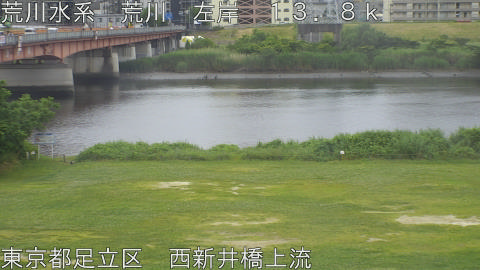 arani2026053110_image