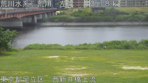arani2026053111_image