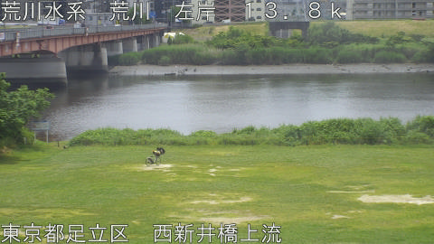 arani2026053112_image