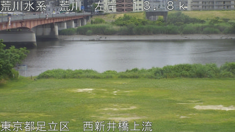 arani2026053113_image