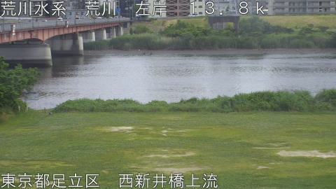 arani2026053114_image