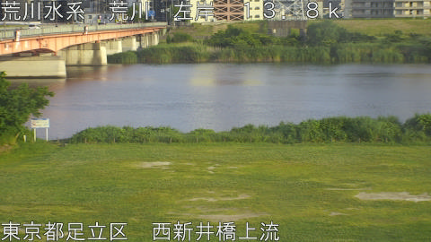 arani2026053118_image