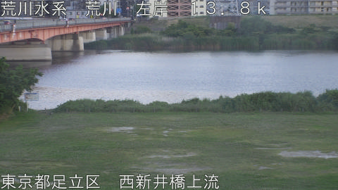 arani2026053119_image