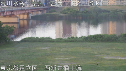 arani2026060105_image