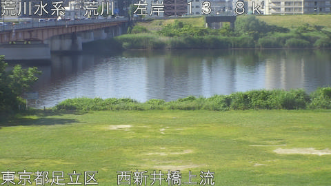 arani2026060108_image