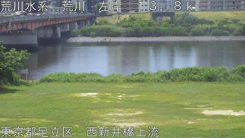 arani2026060111_image