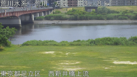 arani2026060113_image