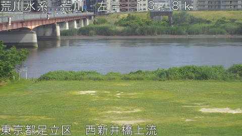 arani2026060115_image