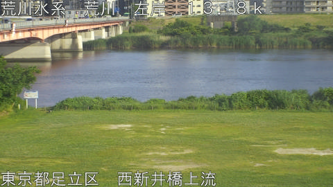 arani2026060117_image