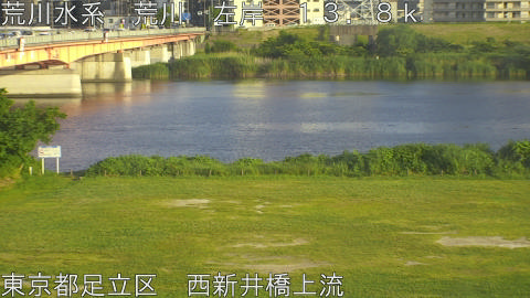 arani2026060118_image