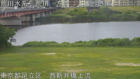 arani2026060207_image
