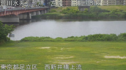 arani2026060208_image