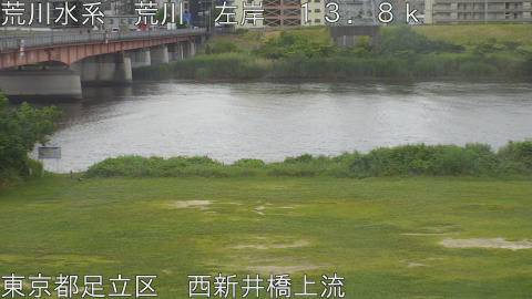 arani2026060209_image