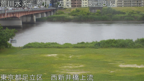 arani2026060210_image