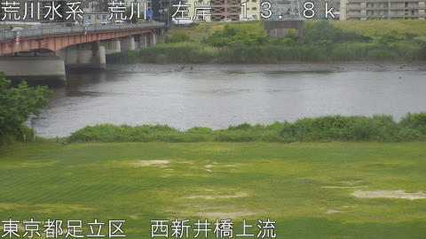 arani2026060212_image