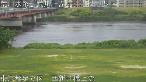 arani2026060215_image