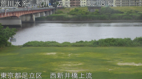 arani2026060216_image