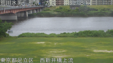 arani2026060217_image