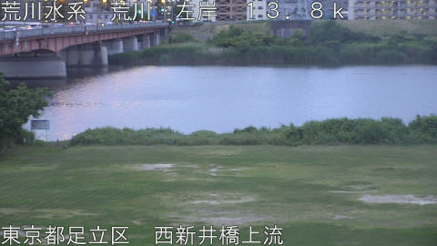 arani2026060219_image