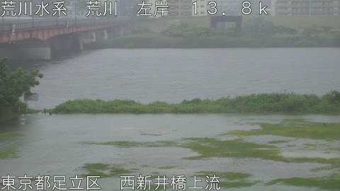 arani2026060309_image