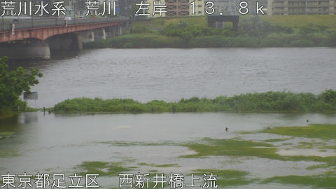 arani2026060311_image