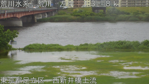arani2026060312_image
