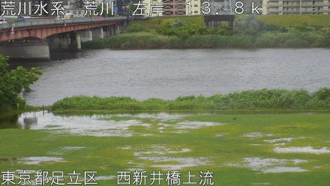 arani2026060313_image