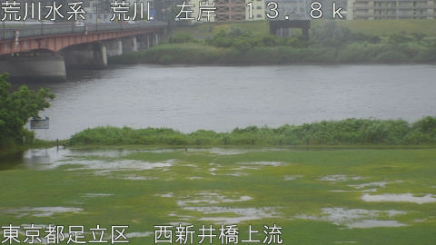 arani2026060314_image